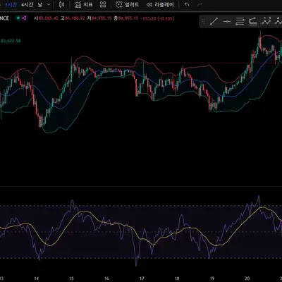 [30일 챌린지 19기 2주차] RSI, 볼린저밴드 차트