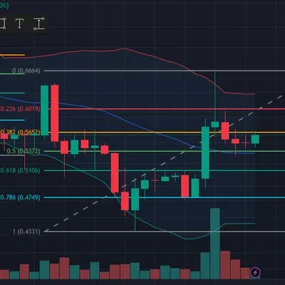 30일 챌린지 18기 3주차