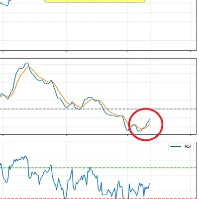 [30일 챌린지 17기 4주차]