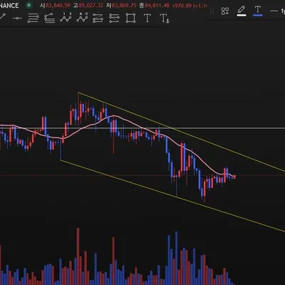 [30일 챌린지 20기 1주차] 추세선 긋기