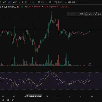[30일 챌린지 19기 2주차] RSI 지표 캡쳐 및 질문