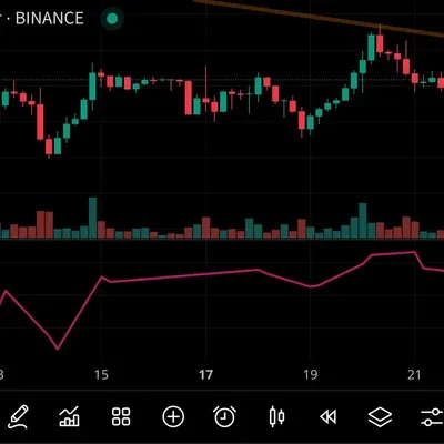 30일 챌린지 19기 2주차