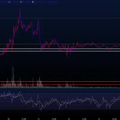 [30일 챌린지 19기 2주차]