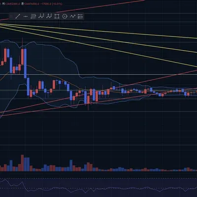 [30일 챌린지 18기 3주차]