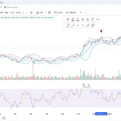 [30일 챌린지 19기 2주차]  Ha쮸니아버님 11일차 미션 