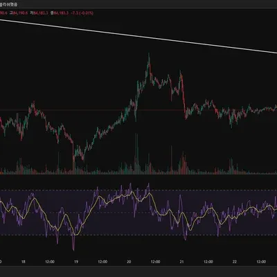 30일챌린지 19기2주차