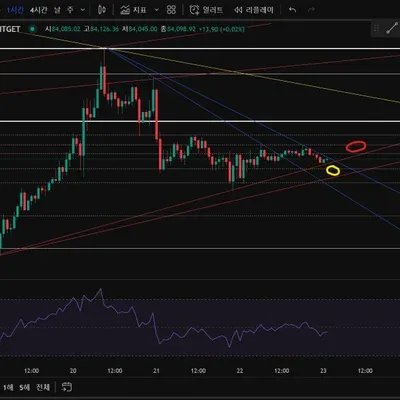 30일 챌린지 18기 3주차