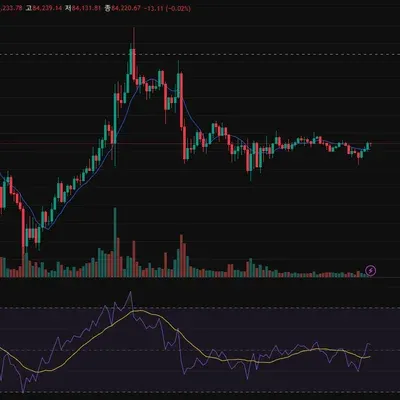 [30일 챌린지 19기 2주차]