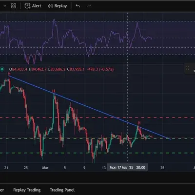 [30일 챌린지 19기 2주차]