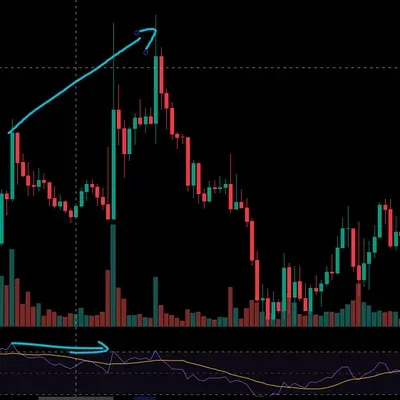 [30일 챌린지 19기 2주차]