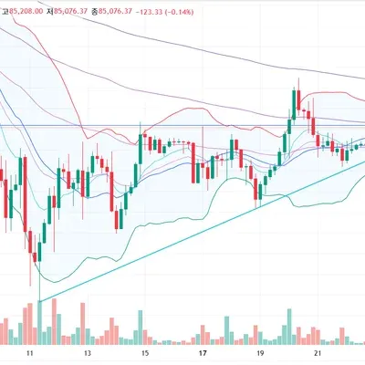 [30일 챌린지 18기 3주차]