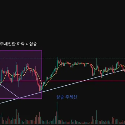 [30일 챌린지 20기 1주차] 트레이딩 뷰 작도