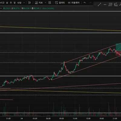 100회 챌린지 시작(1회)