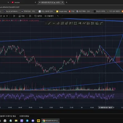 100회 트레이딩 챌린지 (7/100)