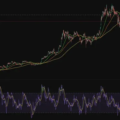 30일 챌린지 20기 2주차 rsi 입니