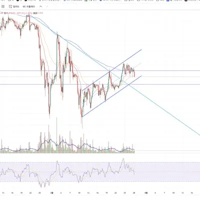 [30일 챌린지 21기 1주차] 
