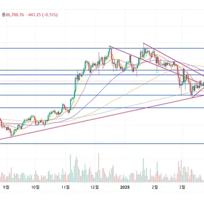 [30일 챌린지 21기 1주차] 추세선 지지선 저항선 거래량으로 작도해보았습니다.