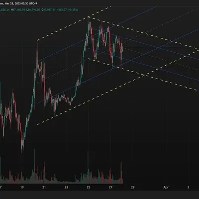 [30일 챌린지 21기 1주차] 비트코인 중단기 추세