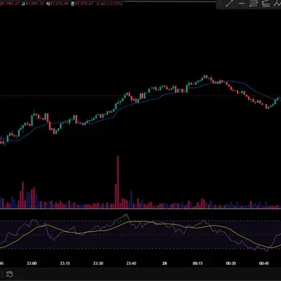 [30일 챌린지 20기 2주차]