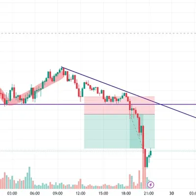[30일 챌린지 19기 3주차]