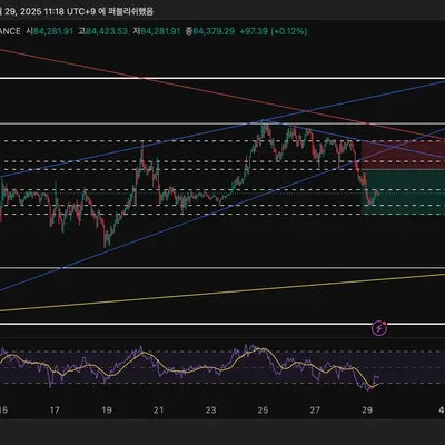 [30일 챌린지 19기 3주차] 매매미수일지