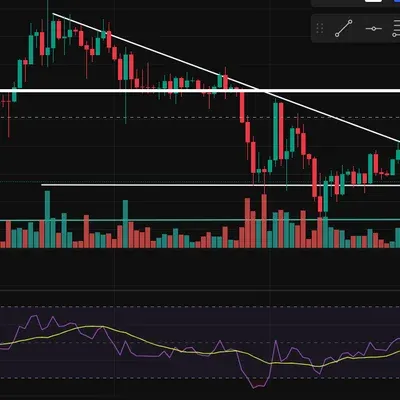 [30일 챌린지 18기 3주차]
