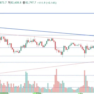 30일 챌린지 19기 3주차
