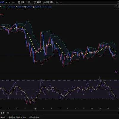 30일 챌린지 20기 2주차