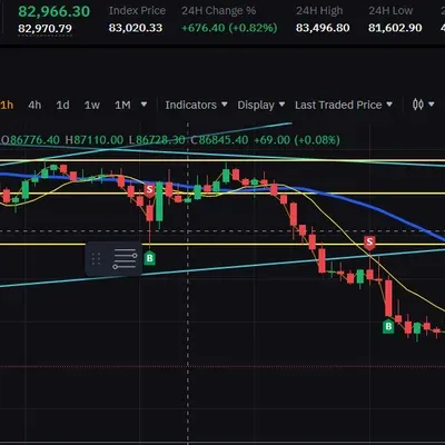 [30일 챌린지 19기 3주차]