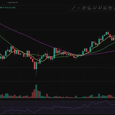 30일 챌린지 20기 2주차