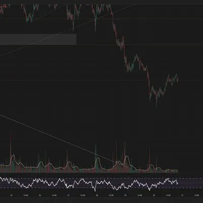 [30일 챌린지 20기 2주차] 