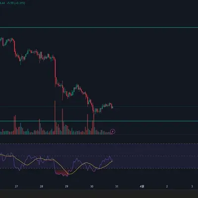 [30일 챌린지 20기 2주차]