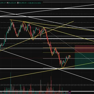 [30일 챌린지 19기 3주차]
