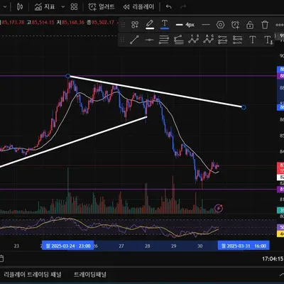 [30일 챌린지 21기 1주차] 트레이딩 뷰 작도를 해봤습니다