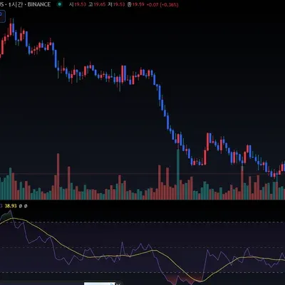[30일 챌린지 20기 2주차]