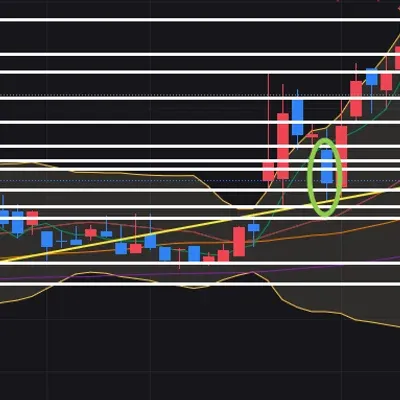 [30일 챌린지 18기 4주차]