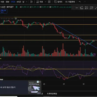 [30일 챌린지 19기 3주차]
