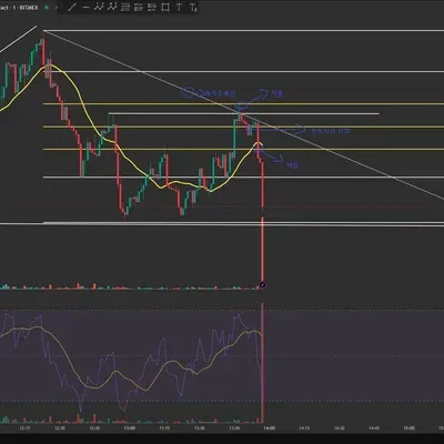 [30일 챌린지 19기 3주차]
