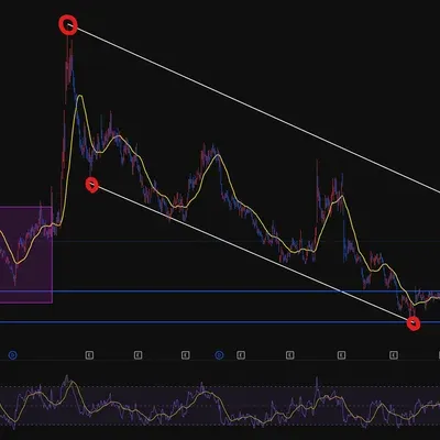 [30일 챌린지 21기 1주차] 트레이딩뷰 작도