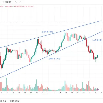[30일 챌린지 21기 1주차] 지지 저항 추세선