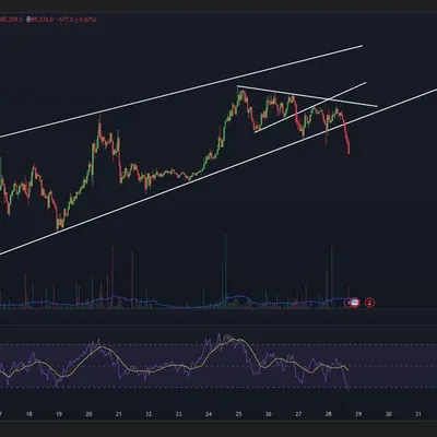30일 챌린지 20기 2주차