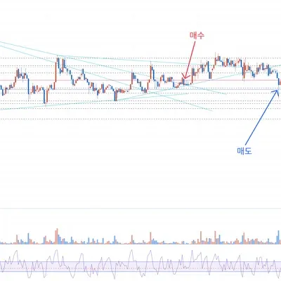 [30일 챌린지 19기 3주차]