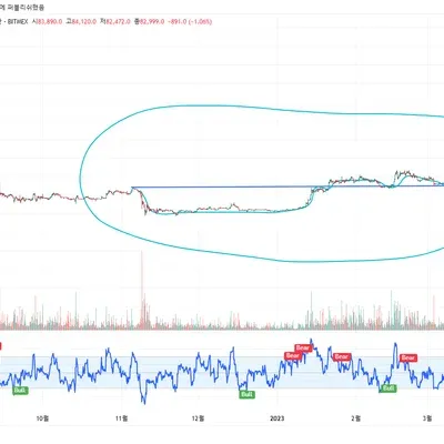 30일 챌린지 21기 차트 패턴 