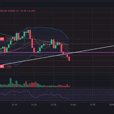 [30일 챌린지 19기 4주차]