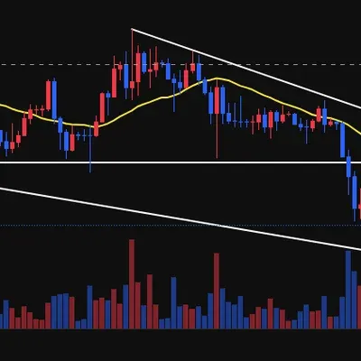 [30일 챌린지 22기 1주차] BTCUSDT 일봉 지지선, 상승 하락 추세선 작도