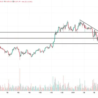 [30일 챌린지 22기 1주차] BTCUSDT 일봉 지지 저항 추세선 작도 입니다