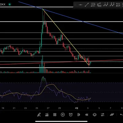 [30일 챌린지 19기 4주차]