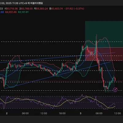 [30일 챌린지 19기 4주차]
