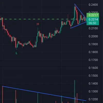 [30일 챌린지 19기 4주차]