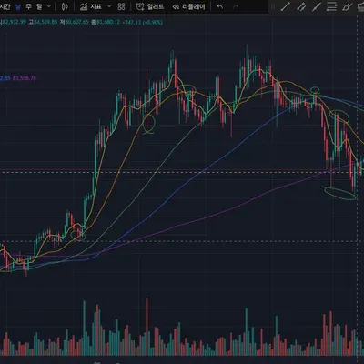 [30일 챌린지 21기 2주차]